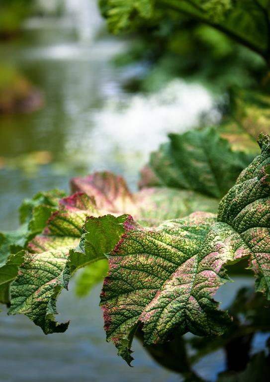 Egrove Park, University Of Oxford South Hinksey Luaran gambar