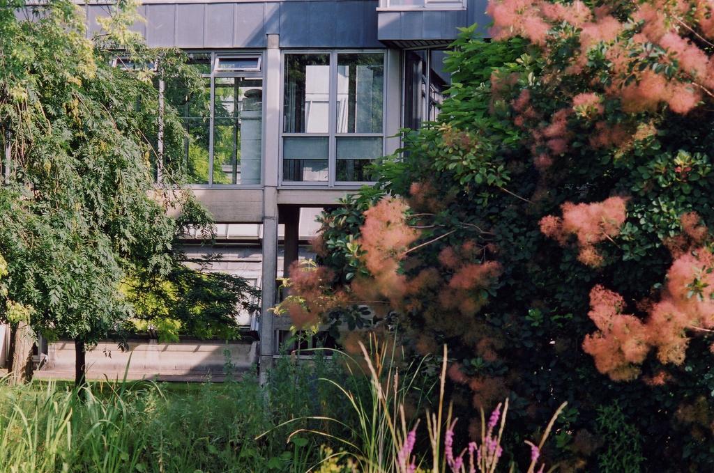 Egrove Park, University Of Oxford South Hinksey Luaran gambar